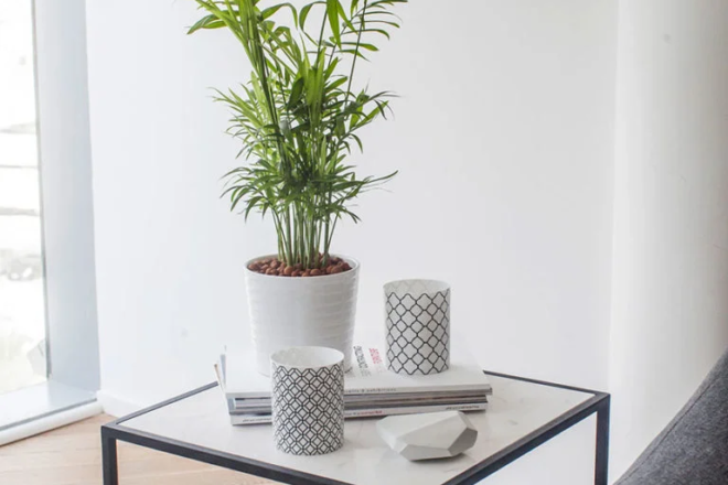 Industrial Chic